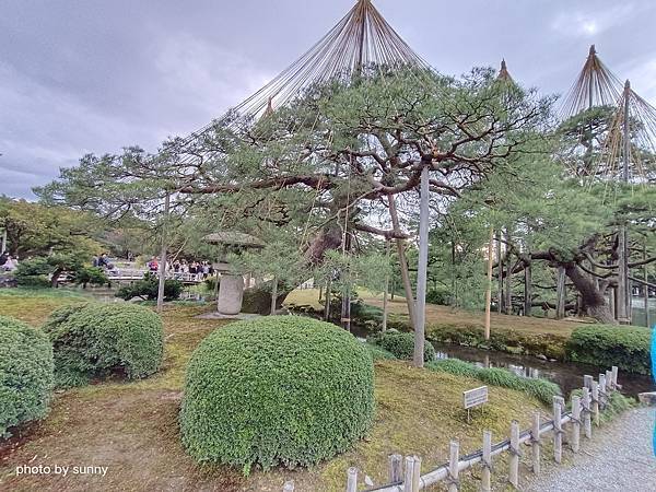 2023冬 日本北陸賞楓行❤石川縣金澤市 兼六園 ❤