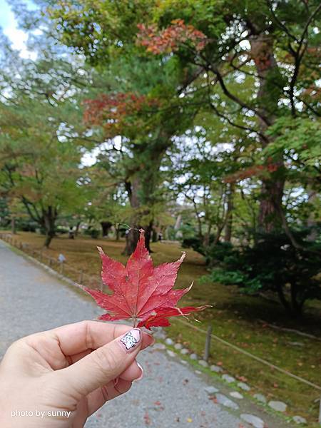 2023冬 日本北陸賞楓行❤石川縣金澤市 兼六園 ❤