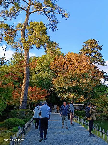 2023冬 日本北陸賞楓行❤石川縣金澤市 兼六園 ❤