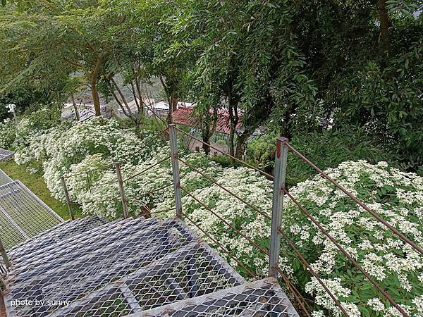 2023冬 台南小旅行❤台南東山 仙湖農場❤