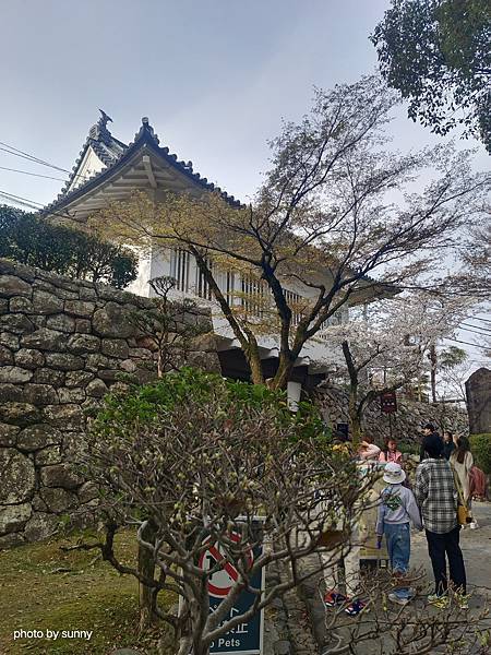 2025春 名古屋賞櫻自由行❤名古屋 犬山城&針綱神社&三光