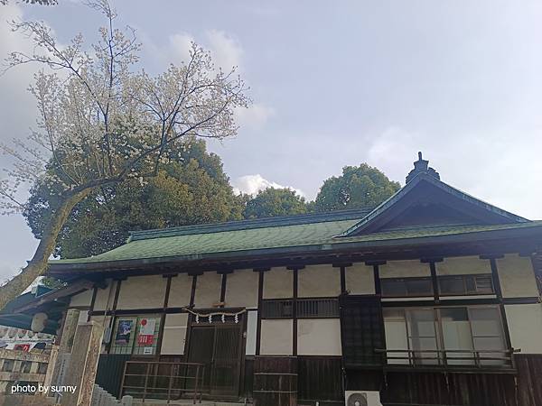 2025春 名古屋賞櫻自由行❤名古屋 犬山城&針綱神社&三光