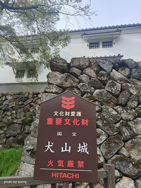 2025春 名古屋賞櫻自由行❤名古屋 犬山城&針綱神社&三光