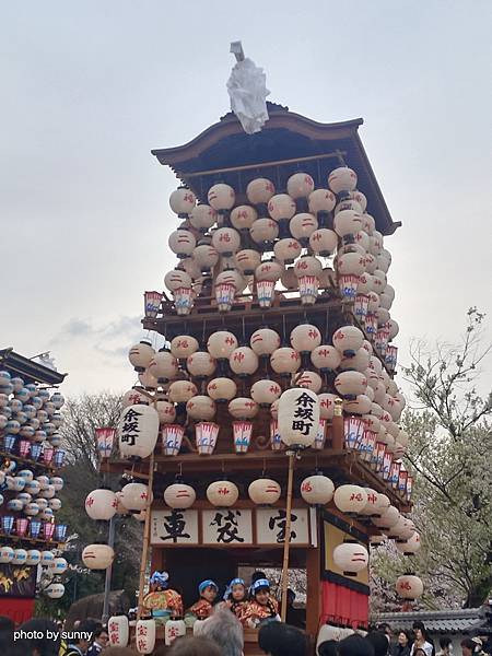 2025春 名古屋賞櫻自由行❤名古屋 犬山城犬山祭❤