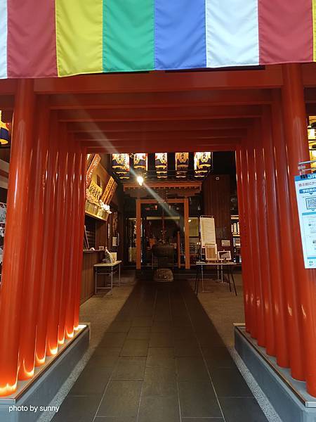 2025春 名古屋賞櫻自由行❤名古屋大須商店街 万松寺❤