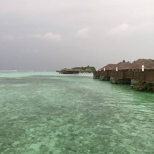 IMG_3359.jpg IMG_3359.jpg