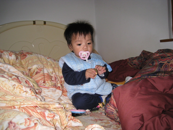 IMG_4833.JPG IMG_4833.JPG