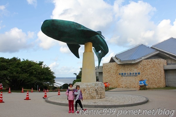 沖繩水族館