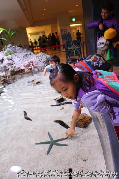 沖繩水族館