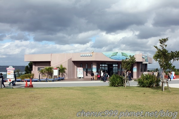 沖繩水族館