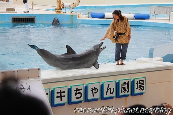 沖繩水族館