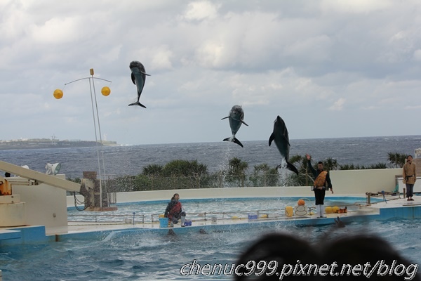 沖繩水族館