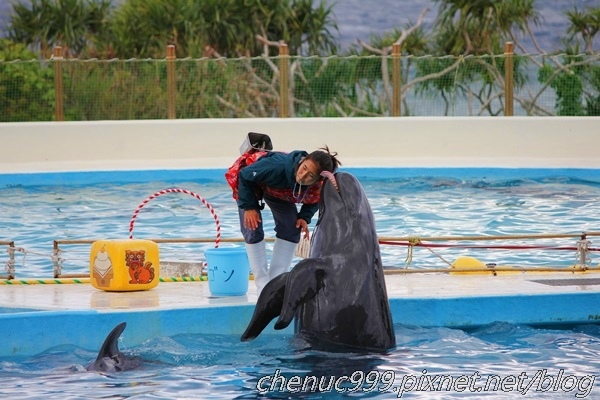 沖繩水族館