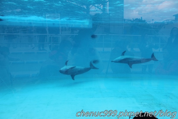 沖繩水族館