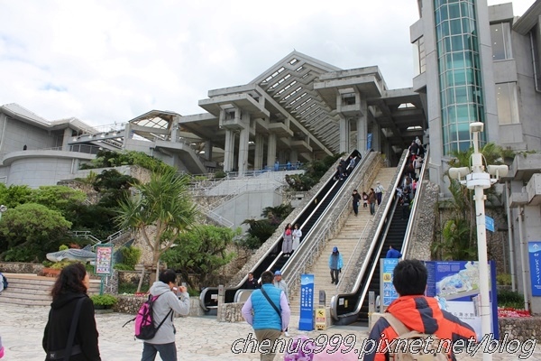 沖繩水族館