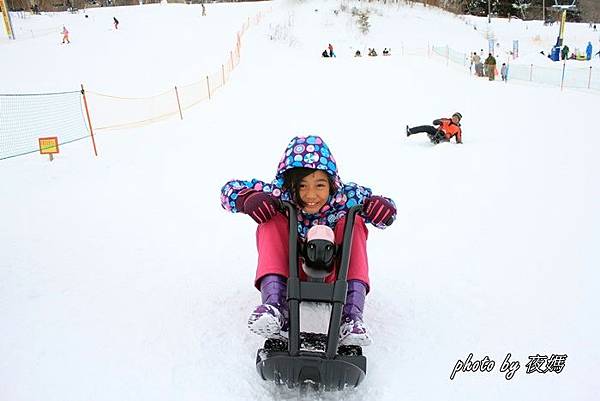 泉高原雪場