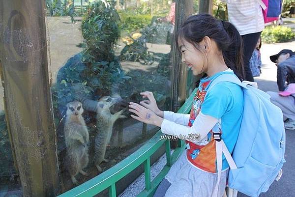 新竹 六福村 漢聲租車專車接送 北台灣到府來回接送 門票只要999元 台中1499元 高cp值 比搭大眾運輸還划算 夜媽的寶貝天地