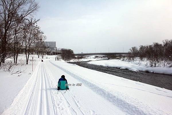 旭川走雪