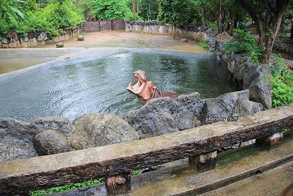 夜間動物園