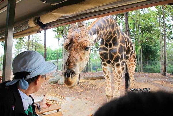 夜間動物園