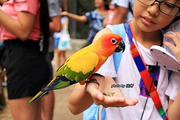 賽佛瑞野生動物園