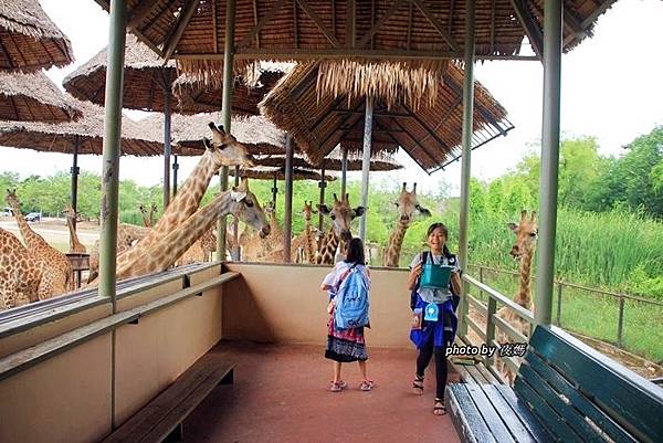 賽佛瑞野生動物園