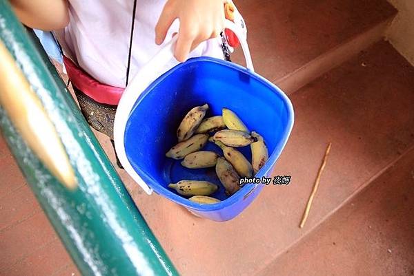 賽佛瑞野生動物園