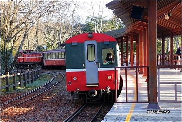 阿里山觀日火車