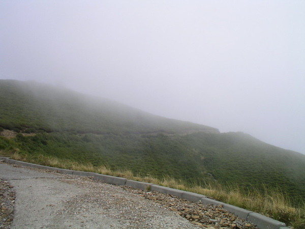 山上霧茫茫