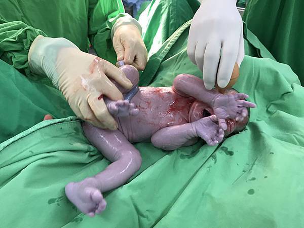 IMG_9119.jpg IMG_9119.jpg