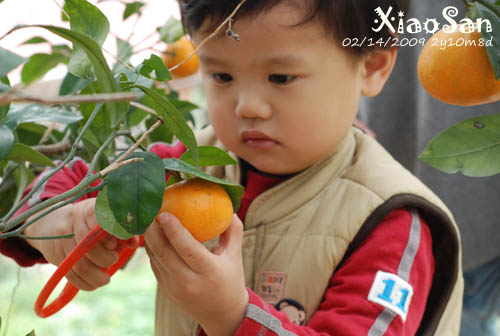 xiaosan090214_2.jpg xiaosan090214_2.jpg