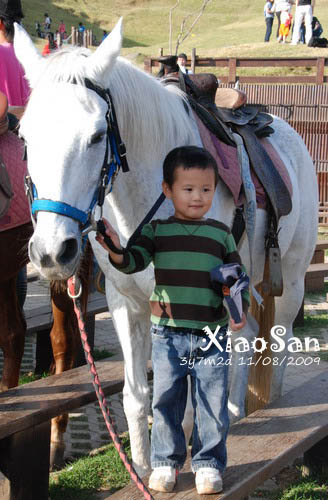 xiaosan091108_12.jpg xiaosan091108_12.jpg