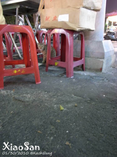 xiaosan100130_07.jpg xiaosan100130_07.jpg