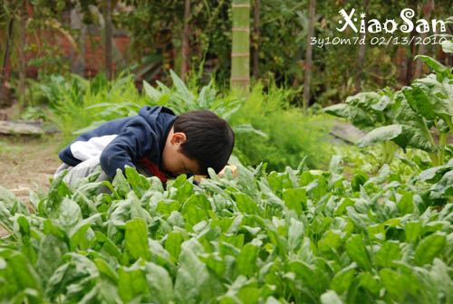 xiaosan100213_01.jpg xiaosan100213_01.jpg