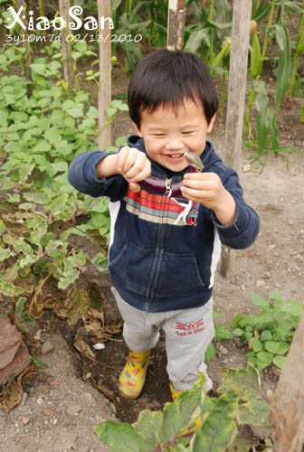 xiaosan100213_05.jpg xiaosan100213_05.jpg