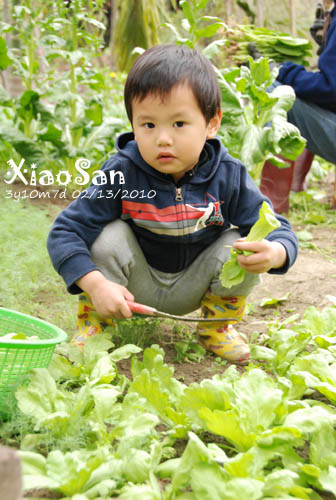 xiaosan100213_08.jpg xiaosan100213_08.jpg