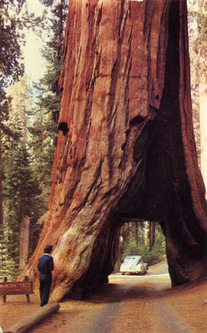 Wawona_Yosemite_National_Park_1953.jpg