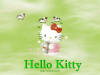 HELLO KITTY26.jpg