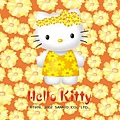 HELLO KITTY36.jpg