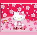 HELLO KITTY54.jpg