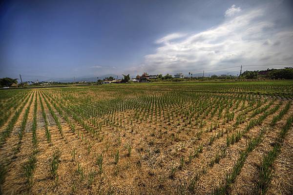 IMG_4573_4_5_tonemapped