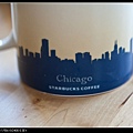 芝加哥的城市天際線