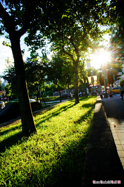 20100824-172013 20100824-172013
