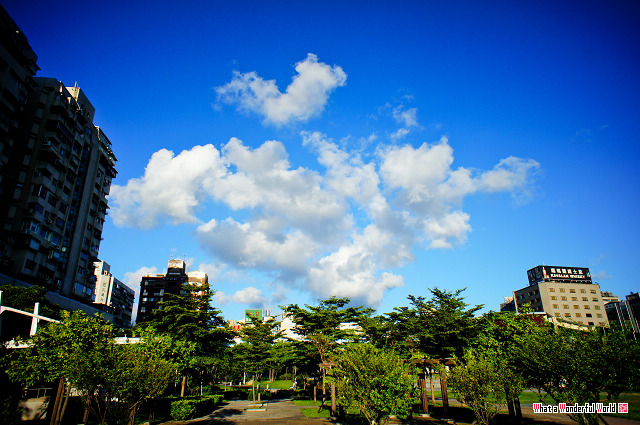 20100824-172201 20100824-172201