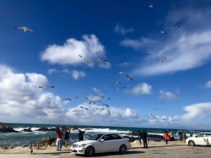 IMG_1745_结果.png IMG_1745_结果.png