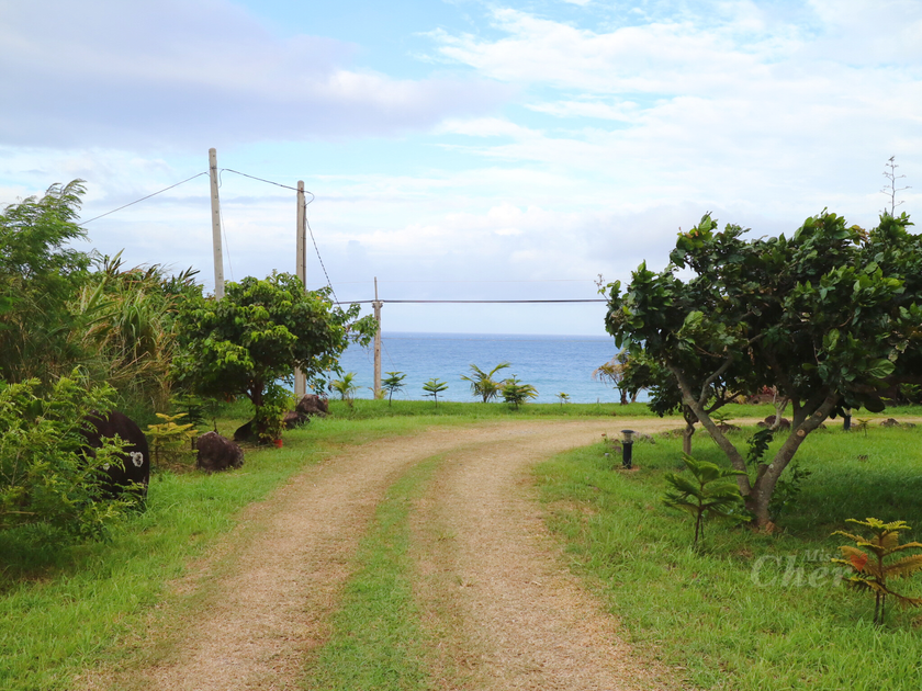 IMG_8865_结果.png IMG_8865_结果.png