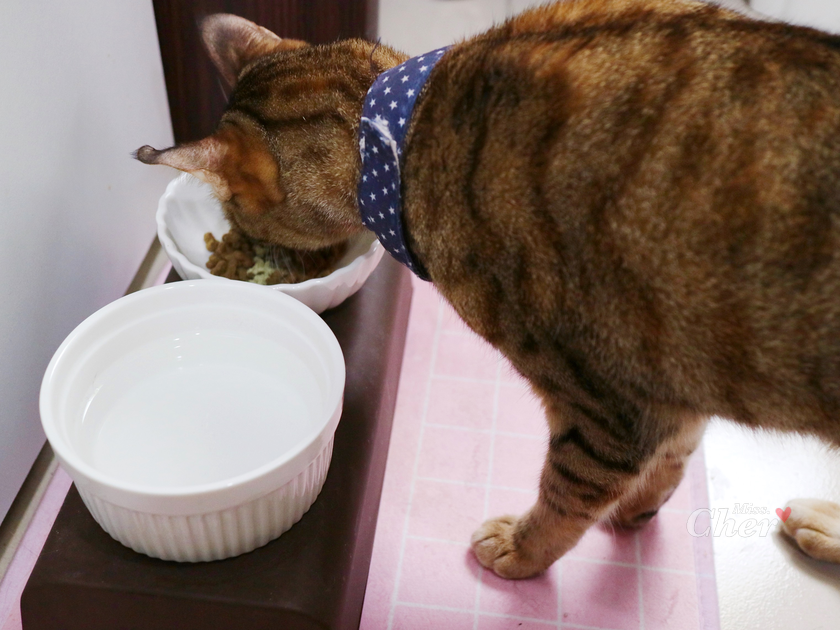 IMG_3638_结果.png IMG_3638_结果.png