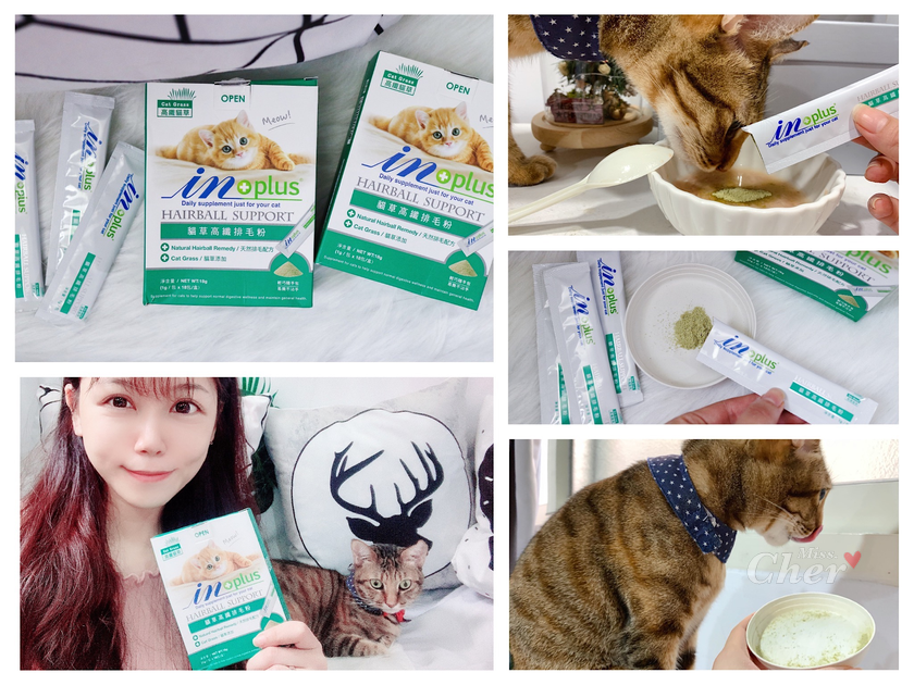 IMG_3667_结果.png IMG_3667_结果.png