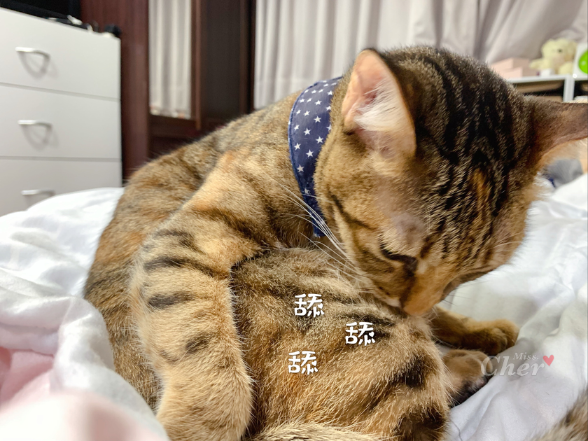 IMG_3668_结果.png IMG_3668_结果.png