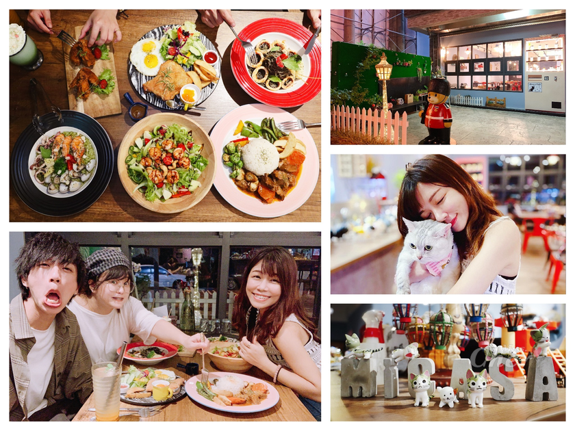 IMG_8087_结果.png IMG_8087_结果.png